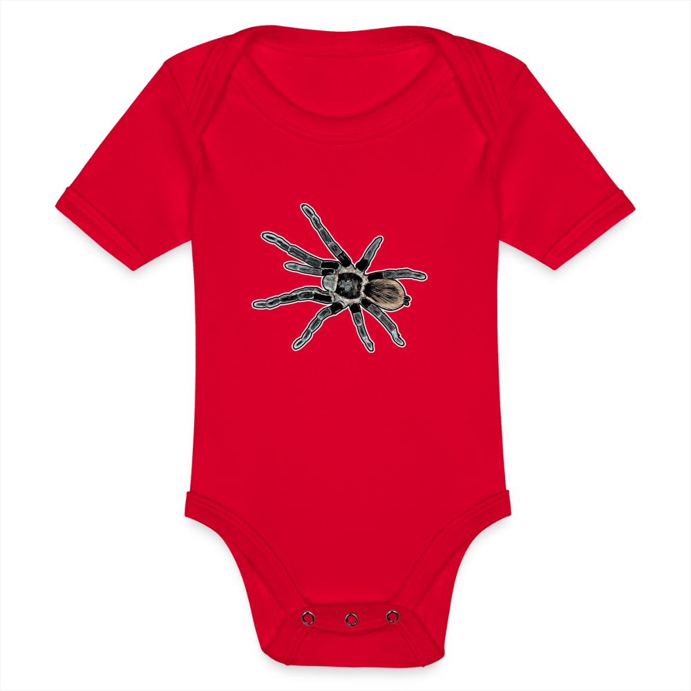 Baby Bio Body kurz Tliltocatl vagans - Rot