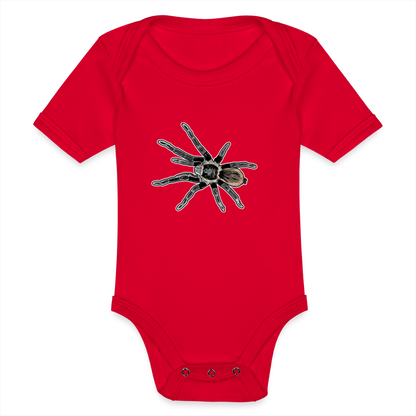 Baby Bio Body kurz Tliltocatl vagans - Rot