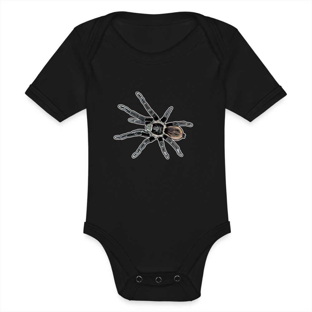 Baby Bio Body kurz Tliltocatl vagans - Schwarz