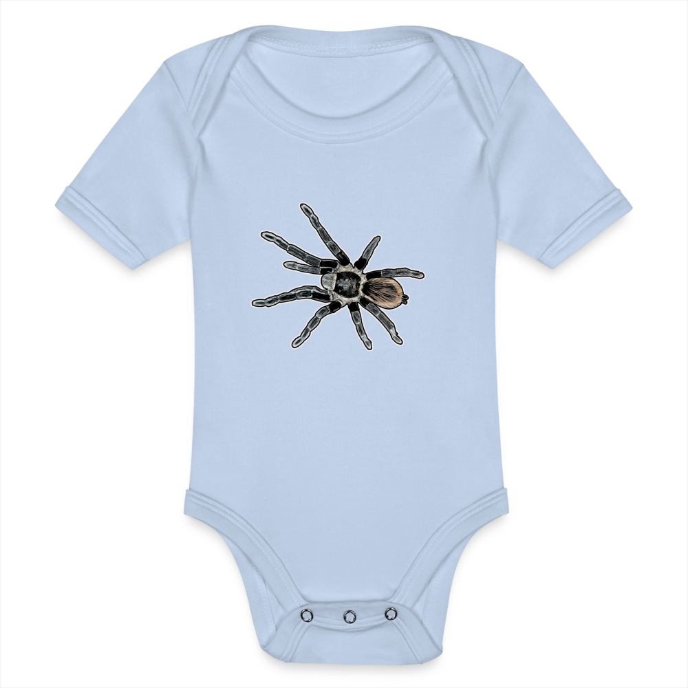 Baby Bio Body kurz Tliltocatl vagans - Sky