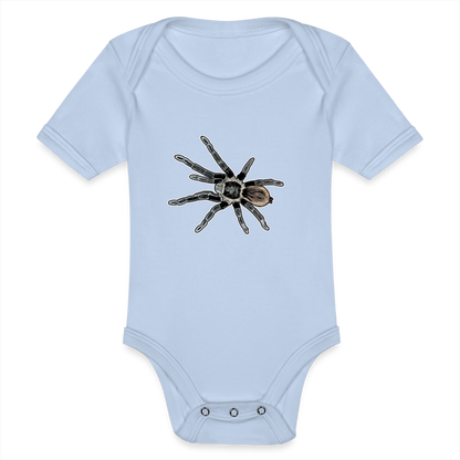 Baby Bio Body kurz Tliltocatl vagans - Sky