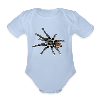 Baby Bio Body kurz Tliltocatl vagans - Sky