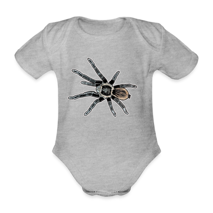 Baby Bio Body kurz Tliltocatl vagans - Grau meliert