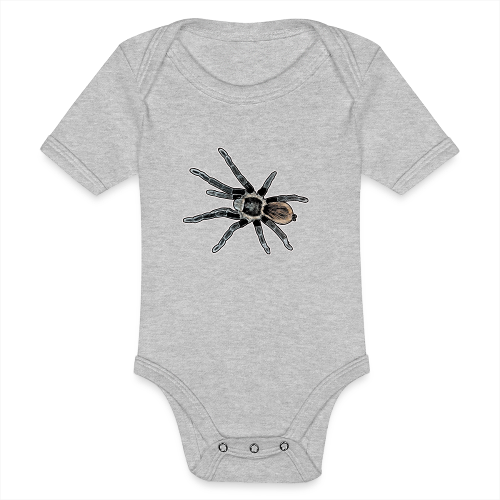 Baby Bio Body kurz Tliltocatl vagans - Grau meliert