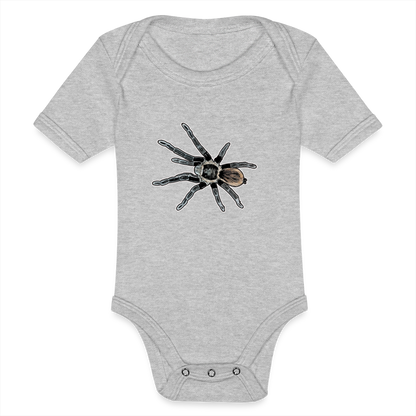 Baby Bio Body kurz Tliltocatl vagans - Grau meliert