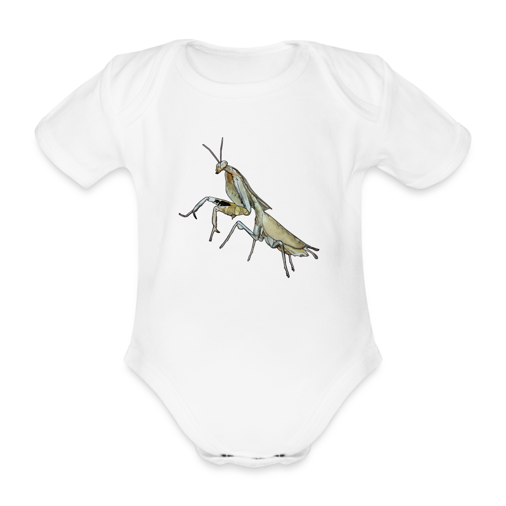 Baby Bio Body kurz Deroplatys truncata female - weiß