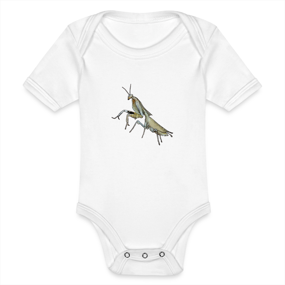 Baby Bio Body kurz Deroplatys truncata female - weiß