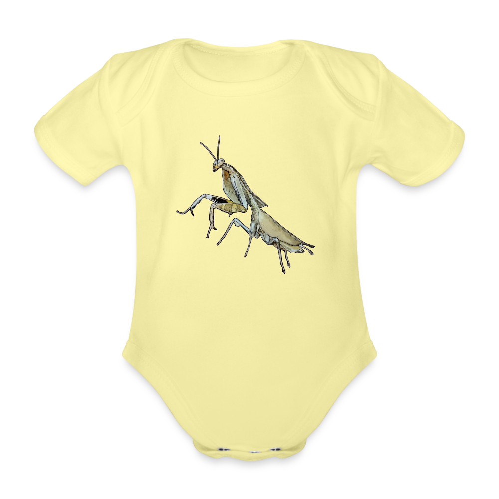 Baby Bio Body kurz Deroplatys truncata female - Hellgelb