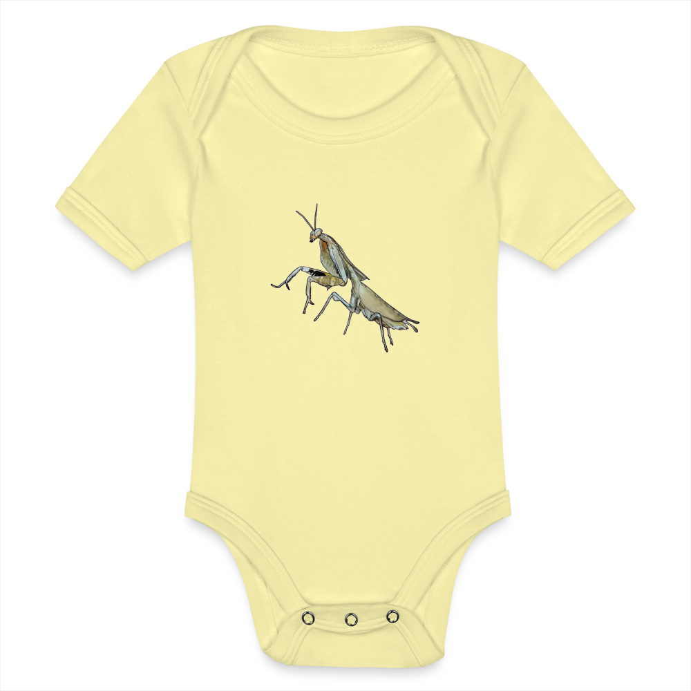 Baby Bio Body kurz Deroplatys truncata female - Hellgelb