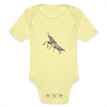 Baby Bio Body kurz Deroplatys truncata female - Hellgelb