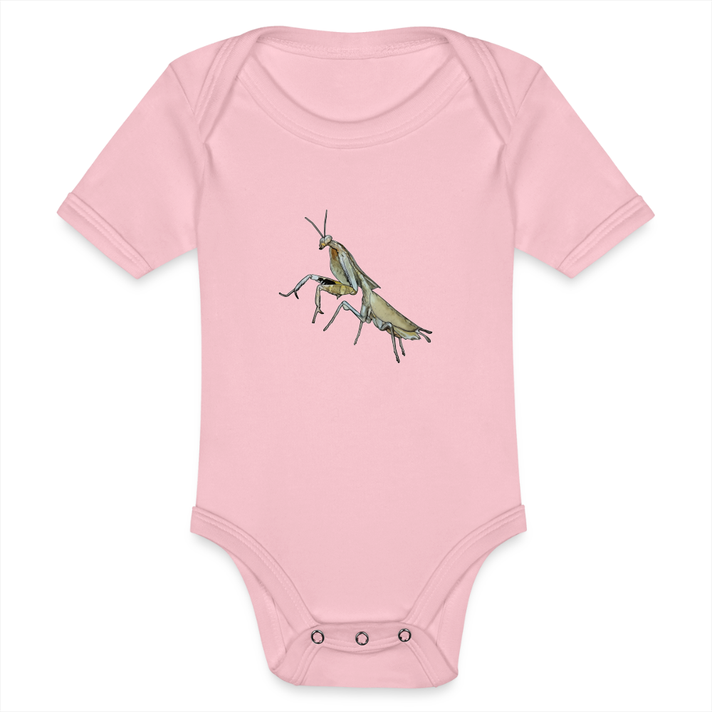 Baby Bio Body kurz Deroplatys truncata female - Hellrosa