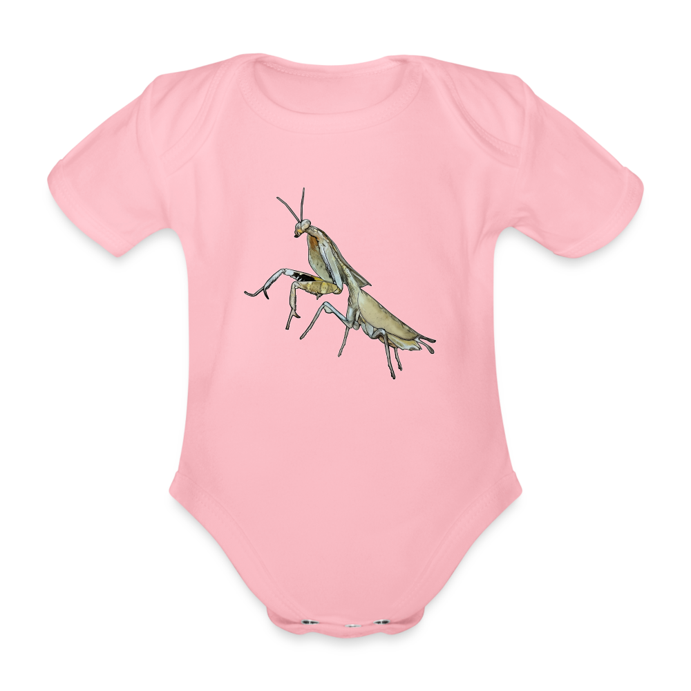 Baby Bio Body kurz Deroplatys truncata female - Hellrosa