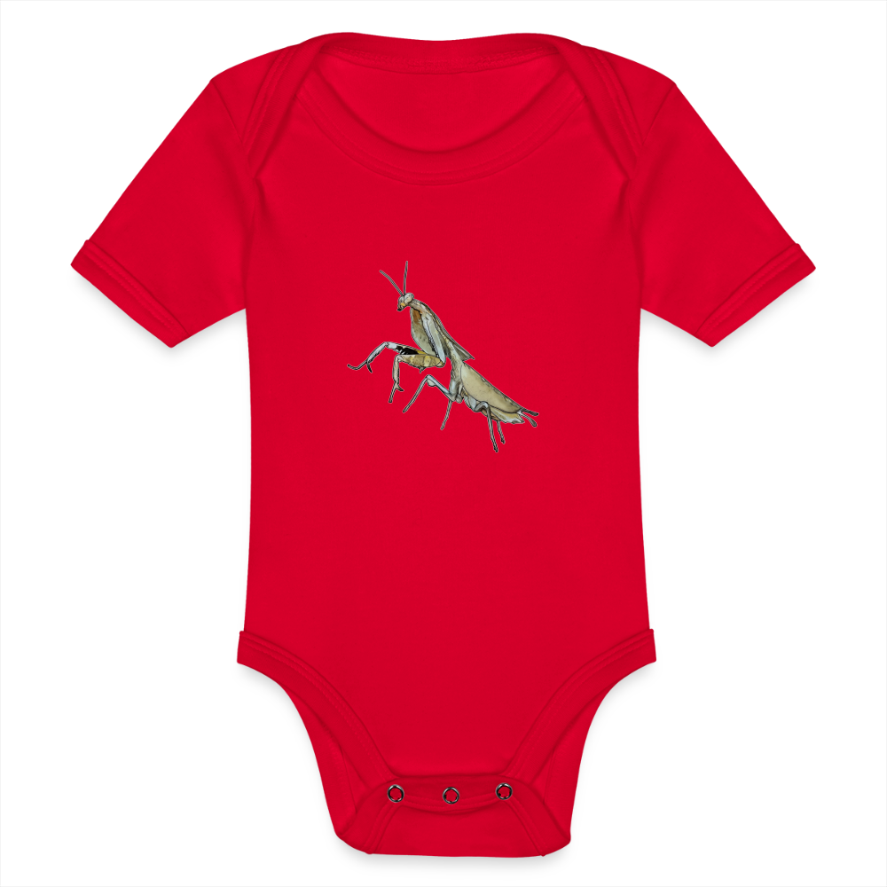 Baby Bio Body kurz Deroplatys truncata female - Rot