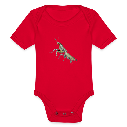 Baby Bio Body kurz Deroplatys truncata female - Rot