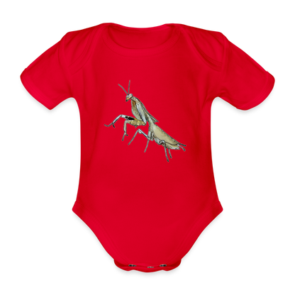 Baby Bio Body kurz Deroplatys truncata female - Rot