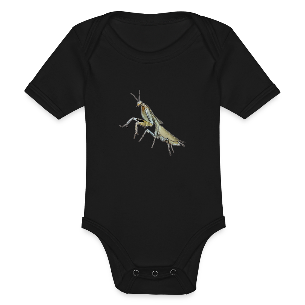 Baby Bio Body kurz Deroplatys truncata female - Schwarz