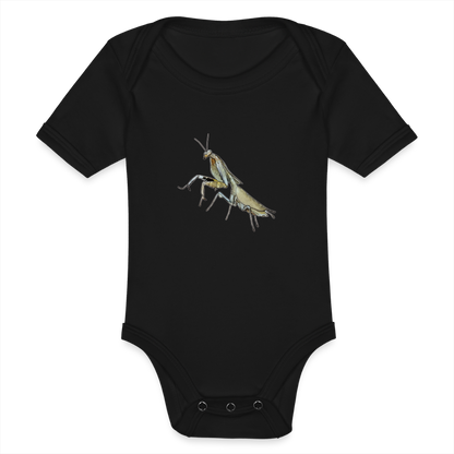 Baby Bio Body kurz Deroplatys truncata female - Schwarz