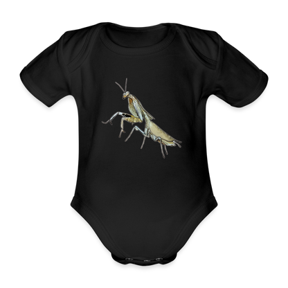 Baby Bio Body kurz Deroplatys truncata female - Schwarz