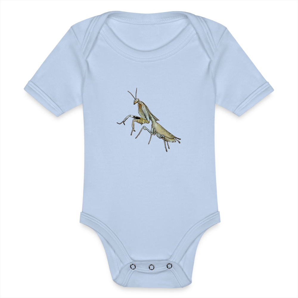 Baby Bio Body kurz Deroplatys truncata female - Sky