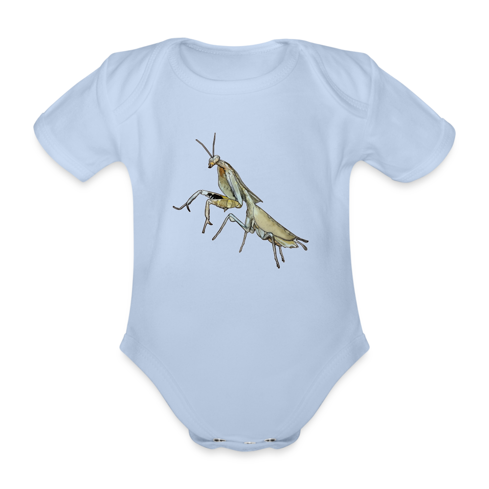 Baby Bio Body kurz Deroplatys truncata female - Sky