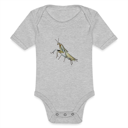 Baby Bio Body kurz Deroplatys truncata female - Grau meliert