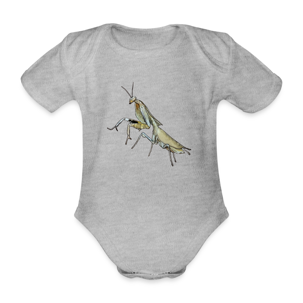 Baby Bio Body kurz Deroplatys truncata female - Grau meliert