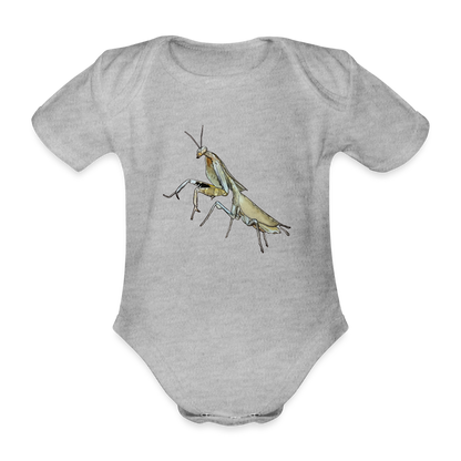 Baby Bio Body kurz Deroplatys truncata female - Grau meliert