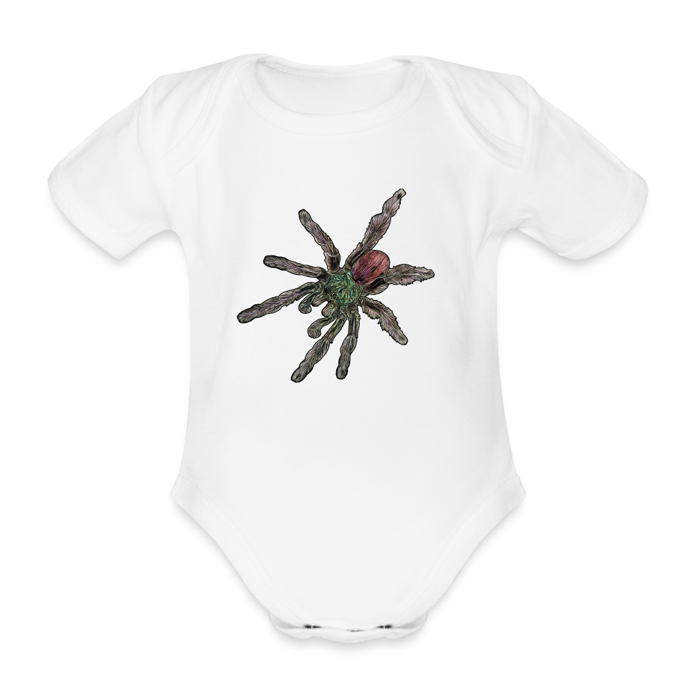 Baby Bio Body kurz Caribena versicolor - weiß