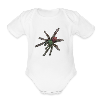 Baby Bio Body kurz Caribena versicolor - weiß