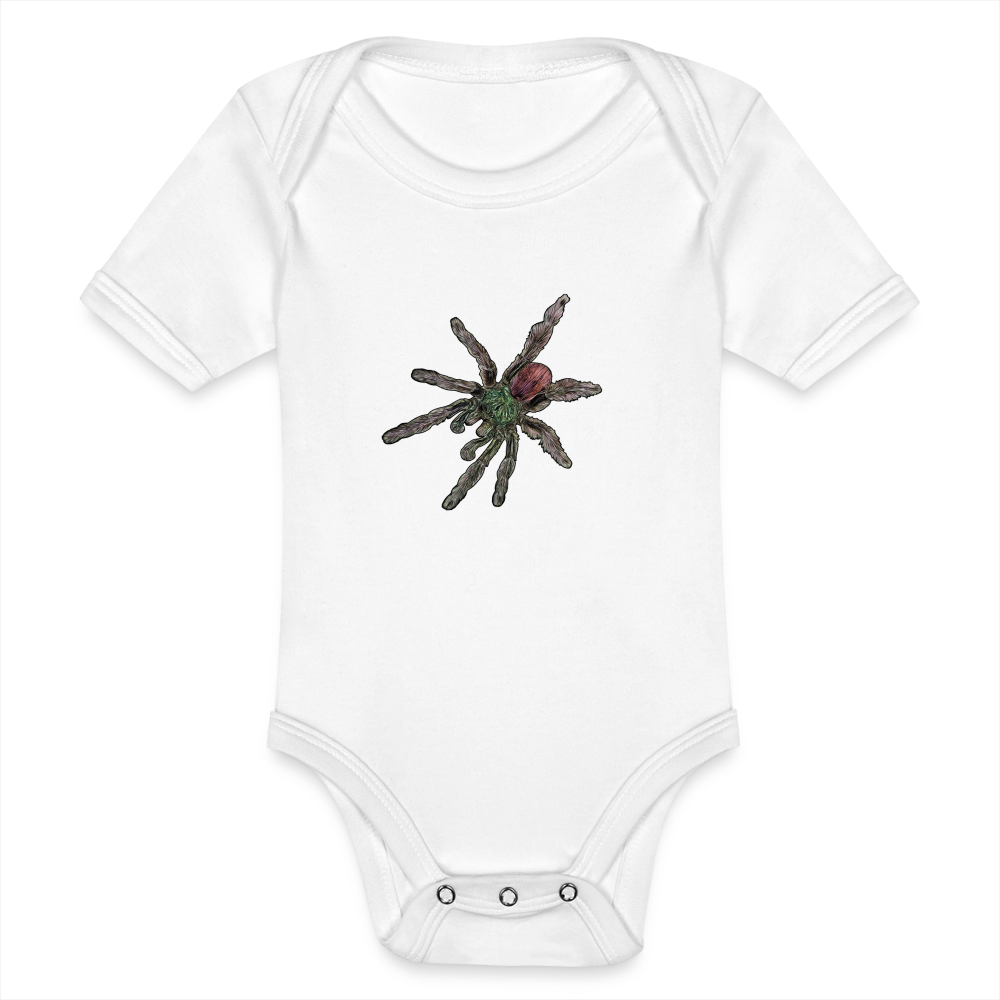 Baby Bio Body kurz Caribena versicolor - weiß