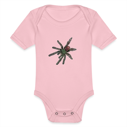 Baby Bio Body kurz Caribena versicolor - Hellrosa