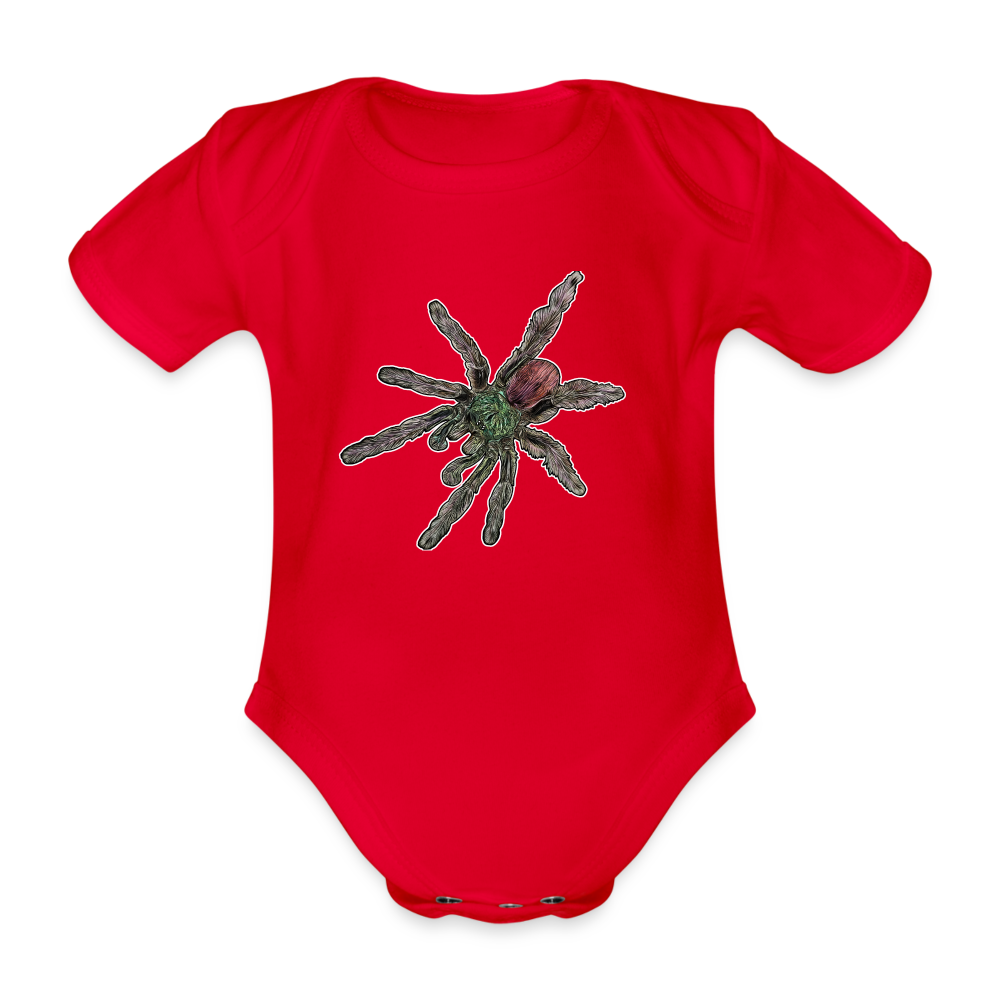 Baby Bio Body kurz Caribena versicolor - Rot