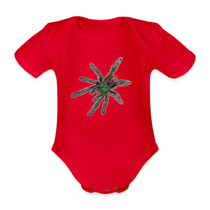 Baby Bio Body kurz Caribena versicolor - Rot