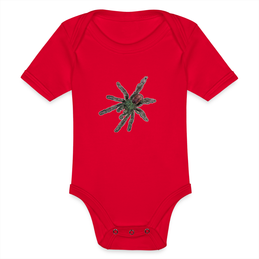 Baby Bio Body kurz Caribena versicolor - Rot