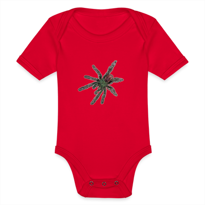 Baby Bio Body kurz Caribena versicolor - Rot