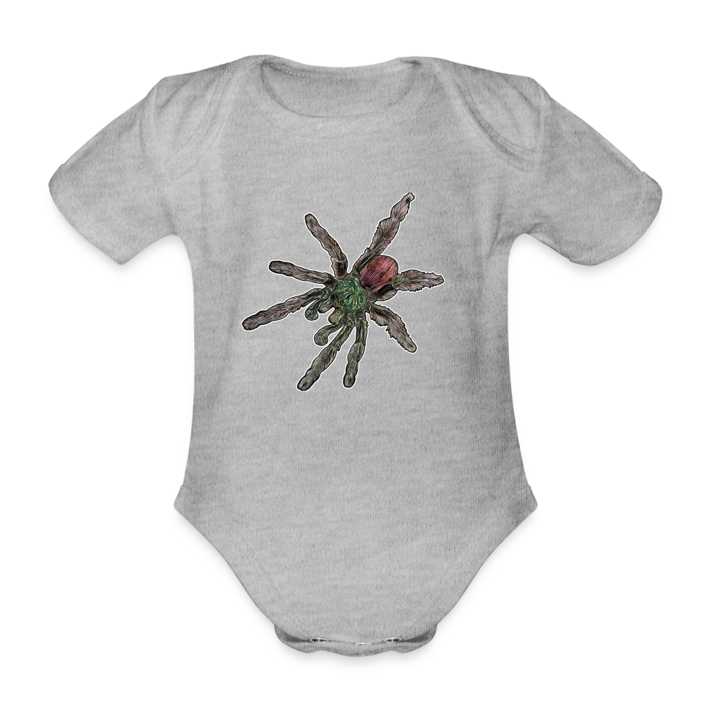 Baby Bio Body kurz Caribena versicolor - Grau meliert