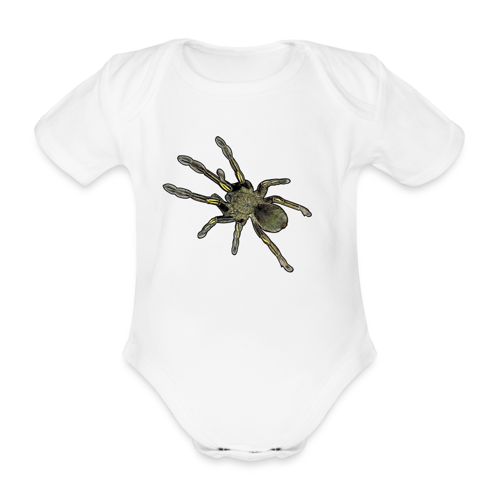 Baby Bio Body kurz Ephebopus murinus - weiß