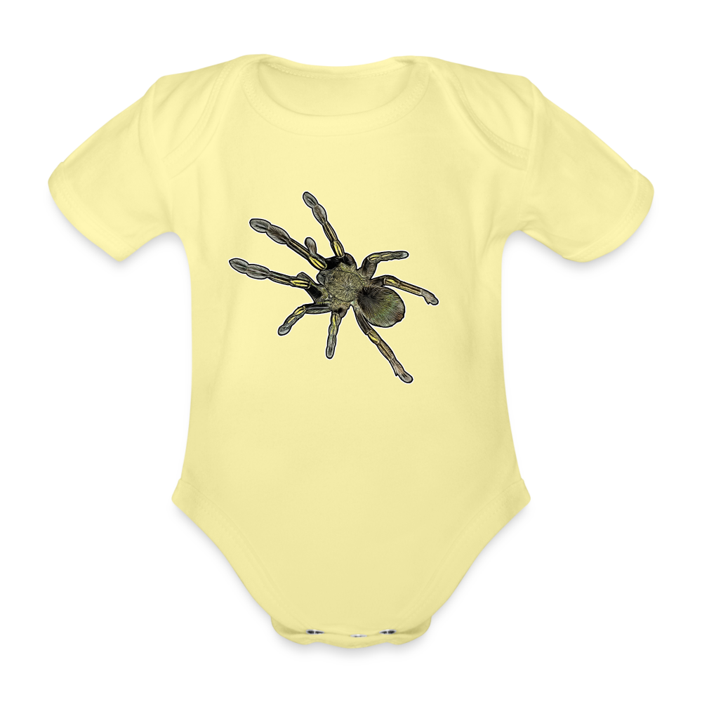 Baby Bio Body kurz Ephebopus murinus - Hellgelb