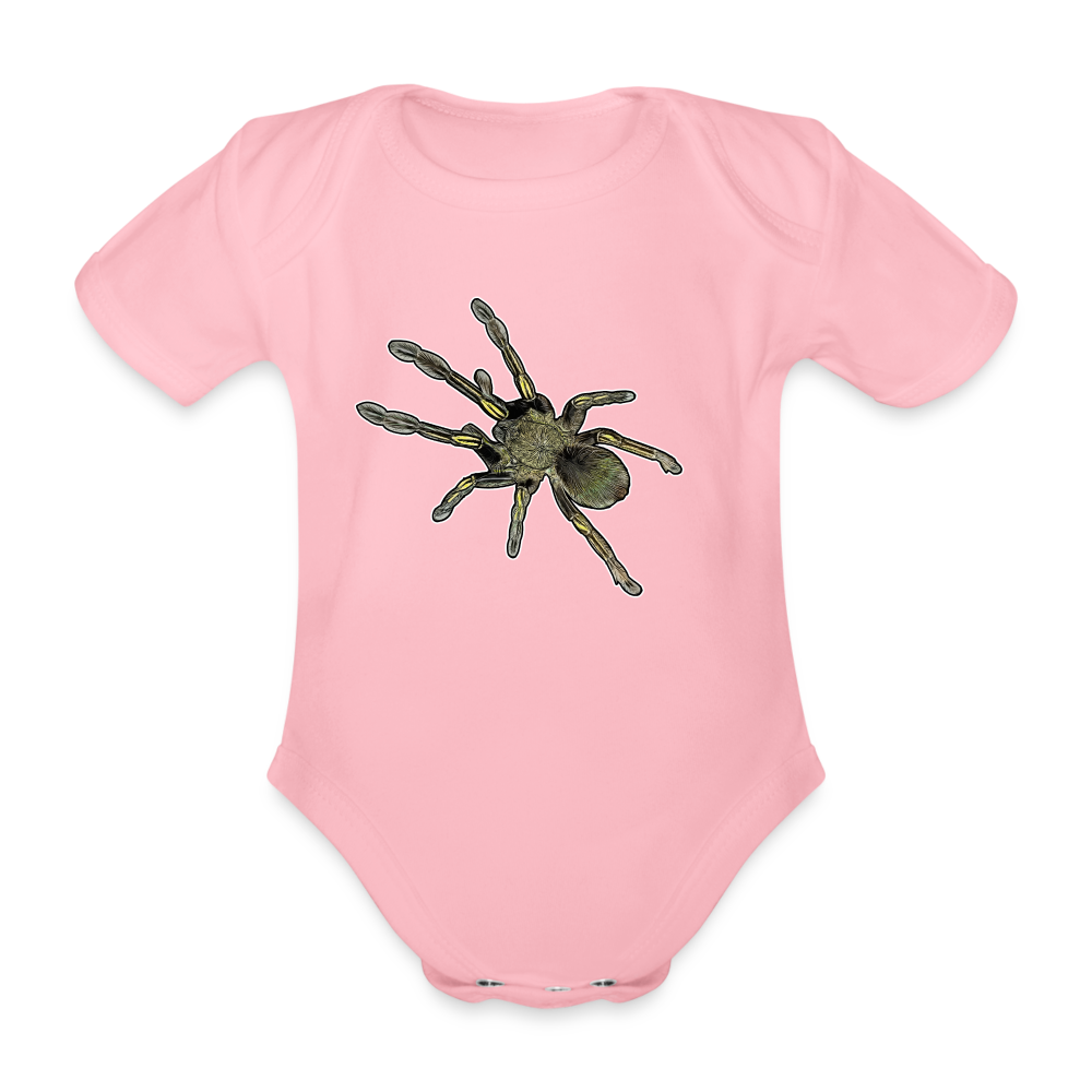 Baby Bio Body kurz Ephebopus murinus - Hellrosa