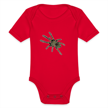 Baby Bio Body kurz Ephebopus murinus - Rot