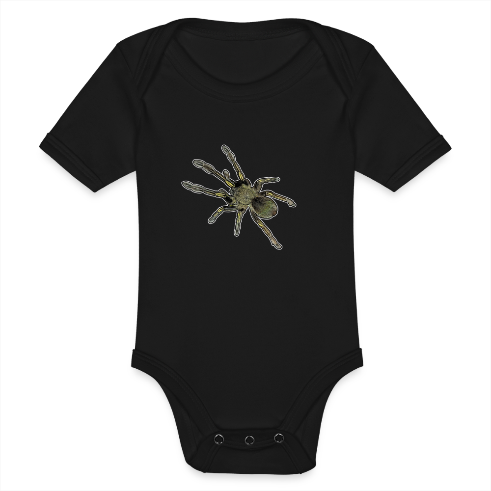 Baby Bio Body kurz Ephebopus murinus - Schwarz