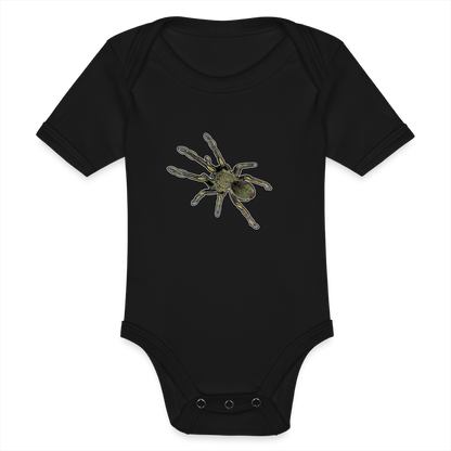 Baby Bio Body kurz Ephebopus murinus - Schwarz