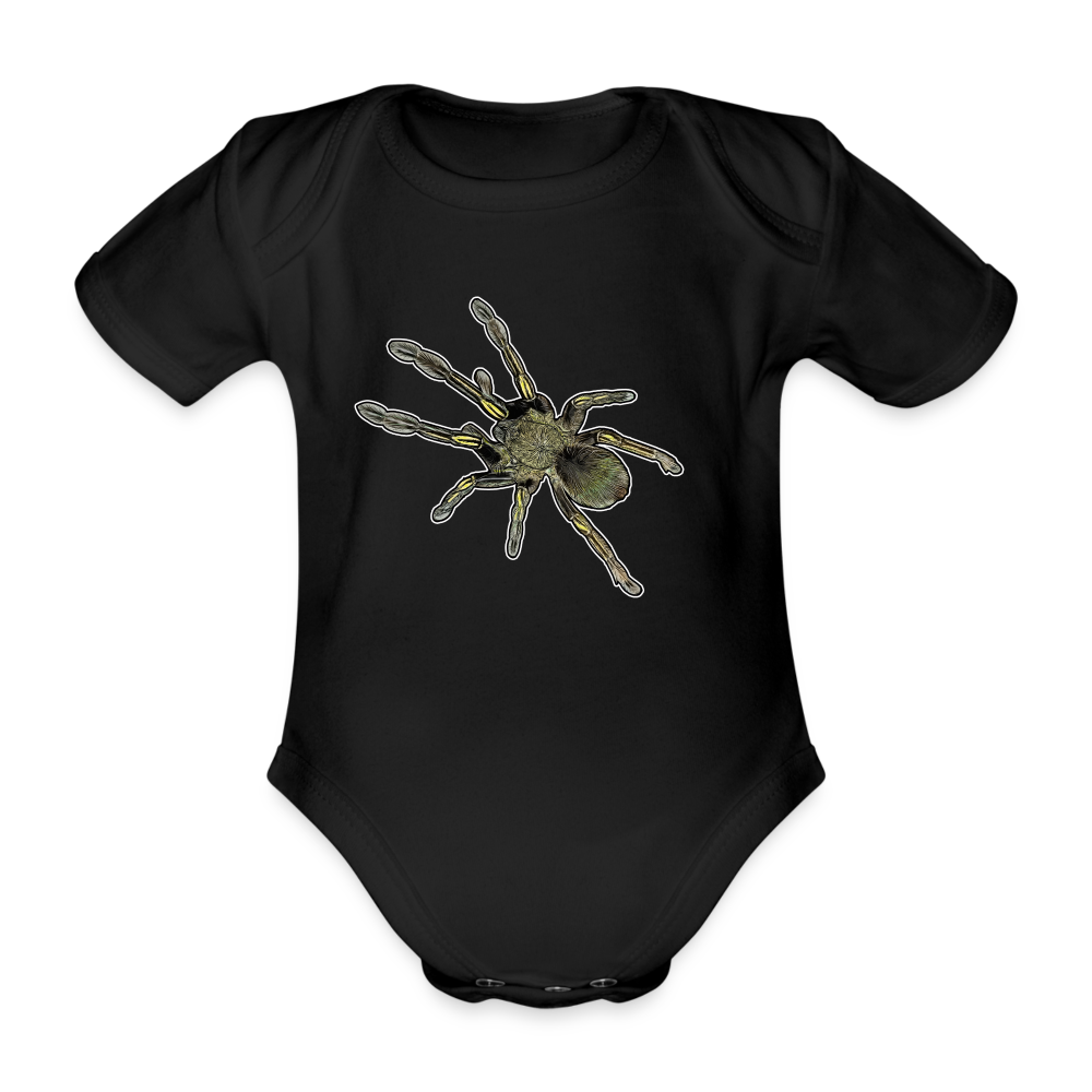 Baby Bio Body kurz Ephebopus murinus - Schwarz