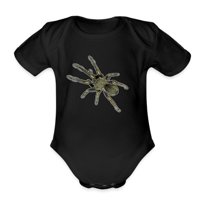 Baby Bio Body kurz Ephebopus murinus - Schwarz