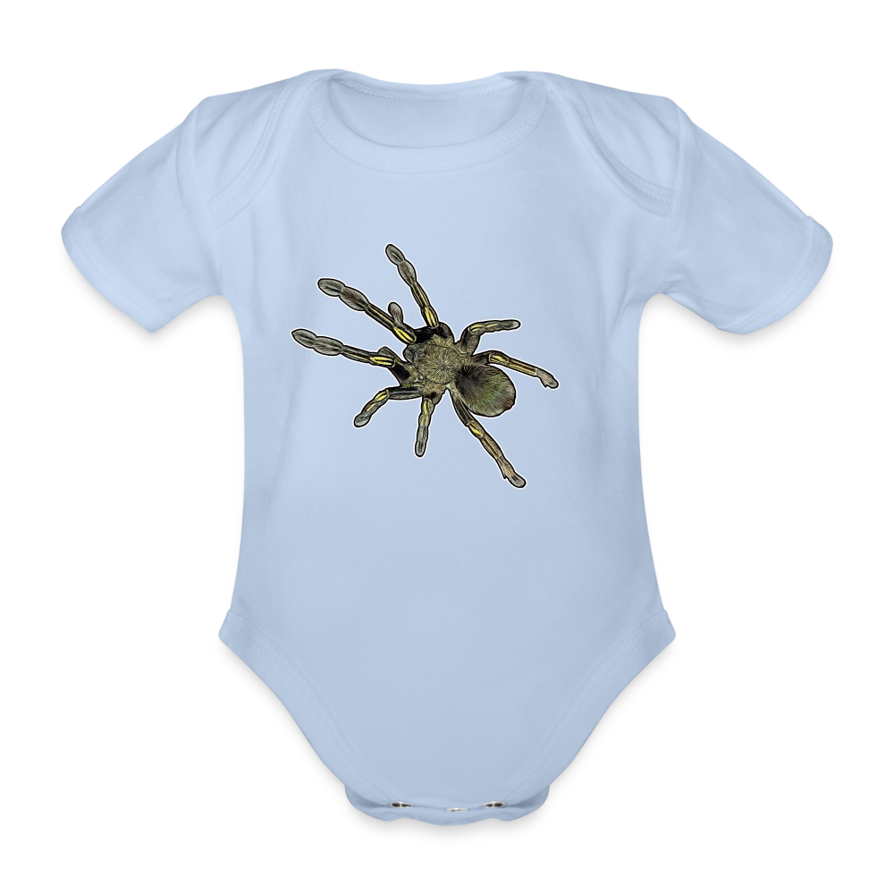 Baby Bio Body kurz Ephebopus murinus - Sky