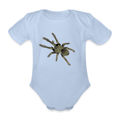 Baby Bio Body kurz Ephebopus murinus - Sky