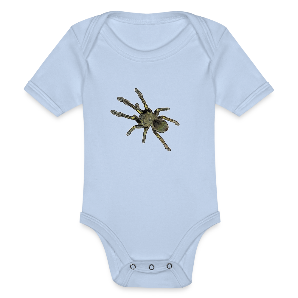 Baby Bio Body kurz Ephebopus murinus - Sky