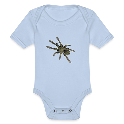Baby Bio Body kurz Ephebopus murinus - Sky
