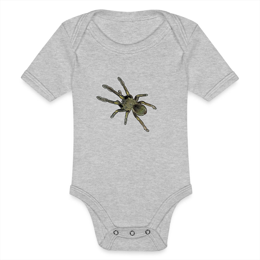 Baby Bio Body kurz Ephebopus murinus - Grau meliert