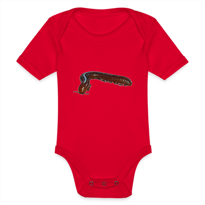 Baby Bio Body kurz Ophistreptus guineensis - Rot